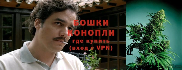 ПСИЛОЦИБИНОВЫЕ ГРИБЫ Абаза