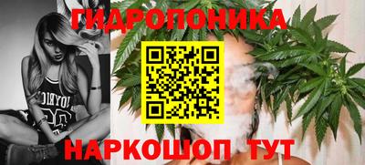 бошки Краснодар