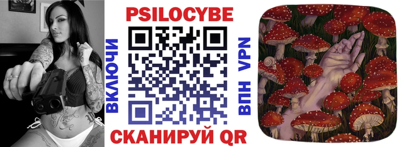 Псилоцибиновые грибы Psilocybe  Касимов 