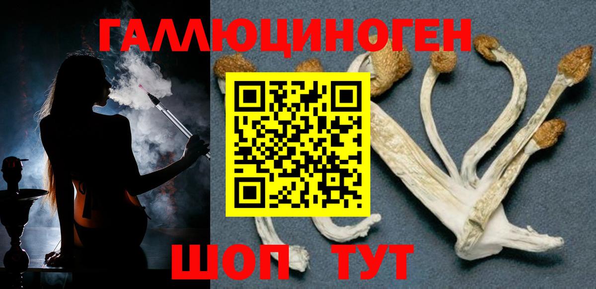 Касимов  Галлюциногенные грибы Cubensis  Псилоцибиновые грибы GOLDEN TEACHER  Вход с VPN 