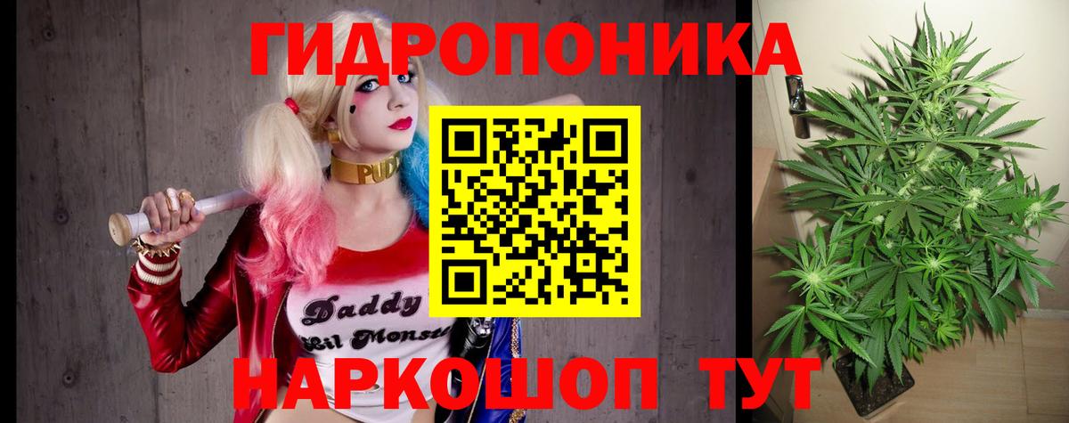 Конопля LSD WEED  Бошки марихуана VHQ  Каннабис семена  Вход с VPN  Касимов 